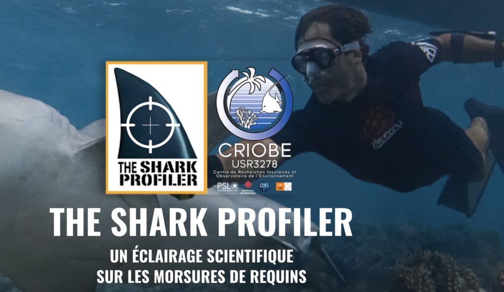 Shark Profiler — Eric Clua