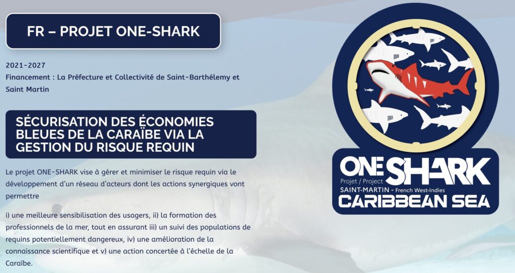 One-Shark — Eric Clua