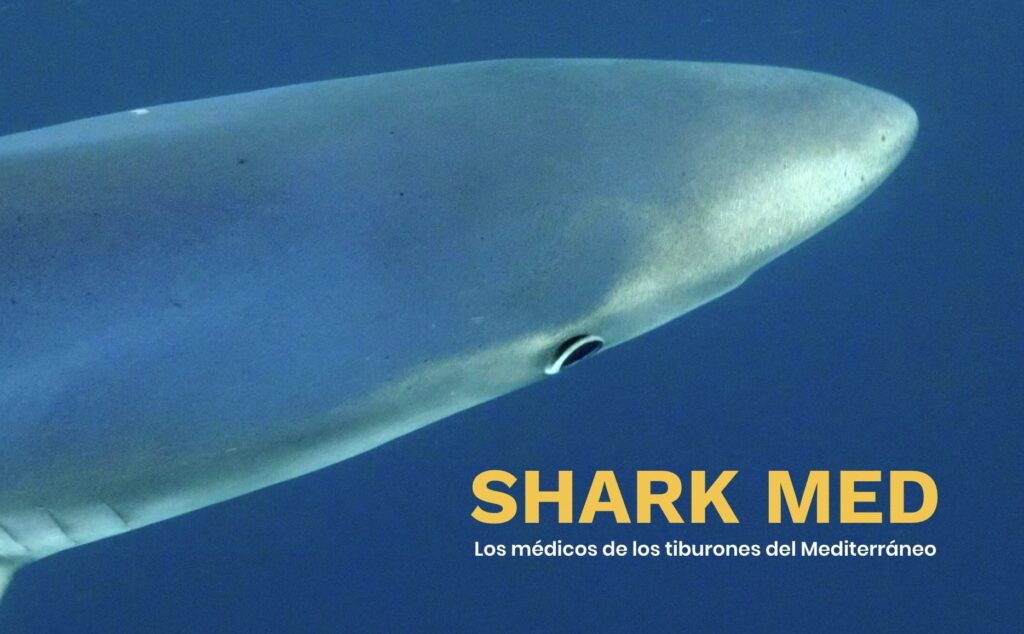 Shark-Med — Eric Clua