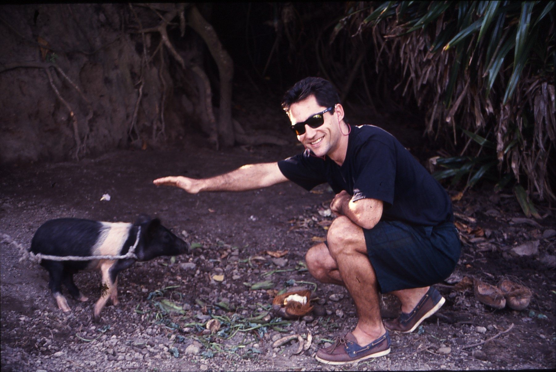 Dominique, 1992