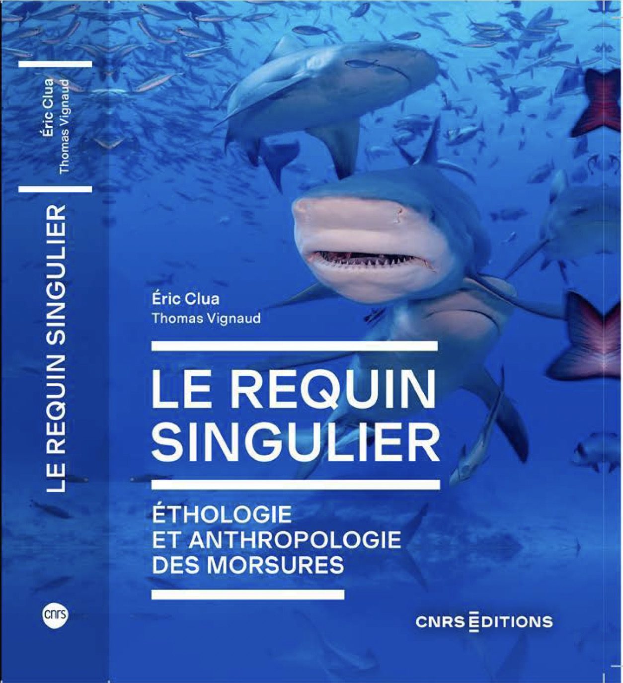 Le requin singulier