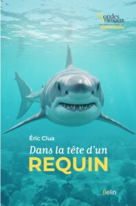 Dans la tête d’un requin — couverture