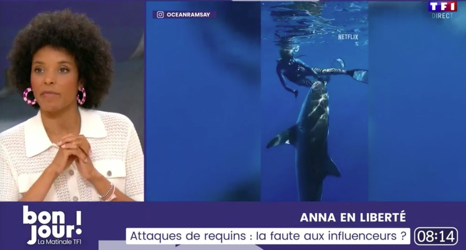 Attaques de requins : la faute aux influenceurs ? — La Matinale TF1