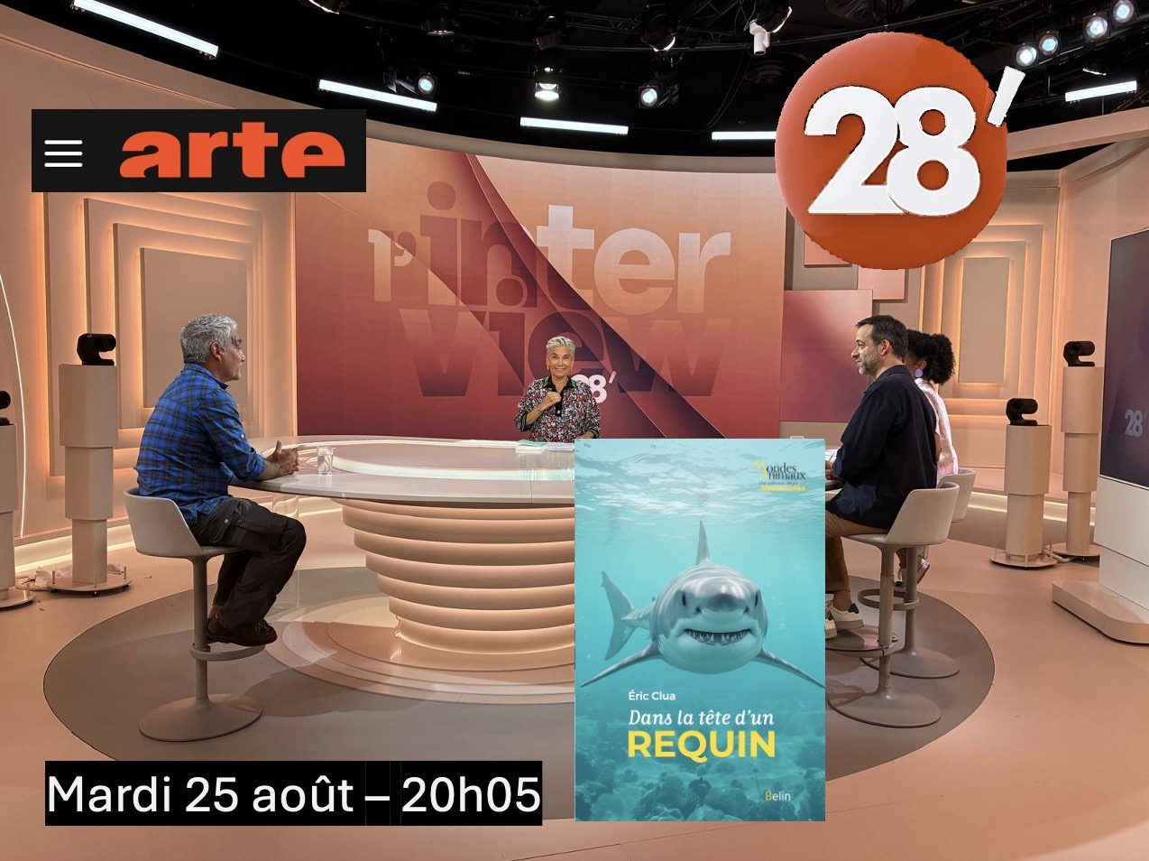 28 minutes sur ARTE, mardi 25 août — Dans la tête d'un requin (Belin)